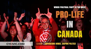 Canada's Pro-Life Political Parties: Who Stands Firmest on Abortion?