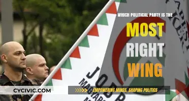 Exploring the Most Right-Wing Political Party: A Comprehensive Analysis