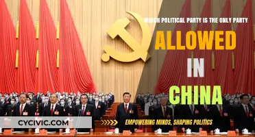 China's Sole Political Party: The Communist Party's Unchallenged Rule