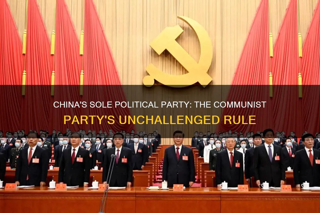 which political party is the only party allowed in china