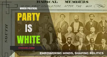 Unpacking Racial Identities: Which Political Party is Perceived as White?
