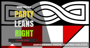 Understanding Right-Leaning Politics: Which Party Embraces Conservative Ideologies?