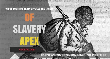 The Republican Party's Stand Against Slavery's Expansion in America