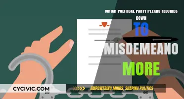 Misdemeanor Deals: Which Political Party Reduces Felonies More Often?