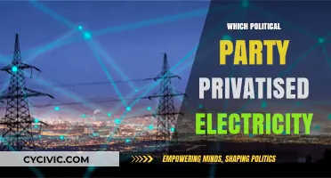 Privatising Power: Which Political Party Transformed Electricity Ownership?