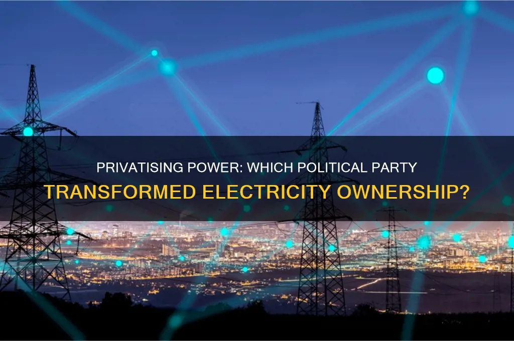 which political party privatised electricity