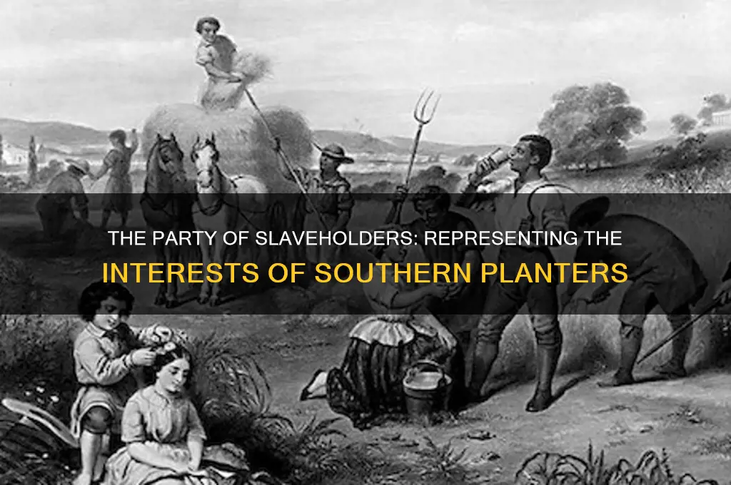 which political party represented the interests of the slave owners