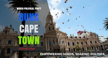 Who Governs Cape Town? Exploring the City's Political Leadership
