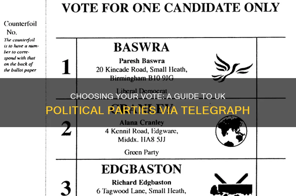 which political party should i vote for telegraph