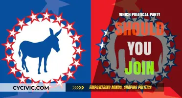 Choosing Your Political Home: A Guide to Party Alignment