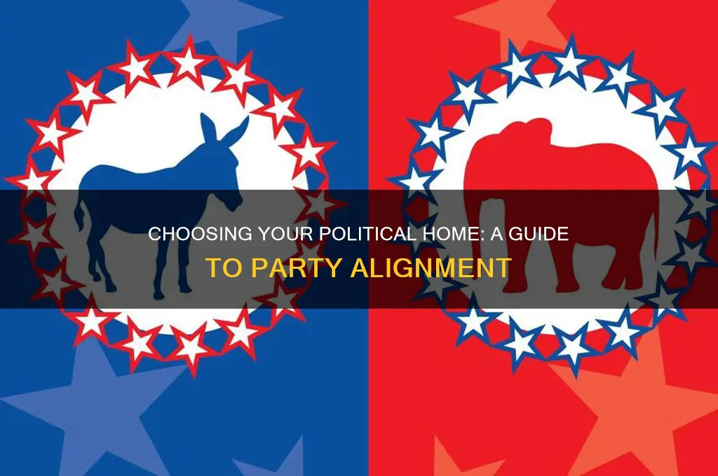 which political party should you join