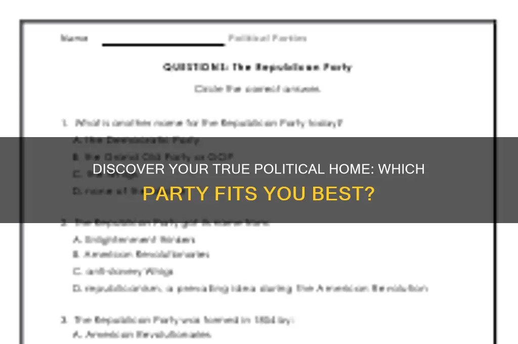 which political party should you really belong in
