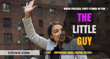 Who Fights for the Underdog? Analyzing Political Parties' Support for Everyday Americans