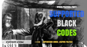 Black Codes: Which Political Party Backed These Oppressive Laws?