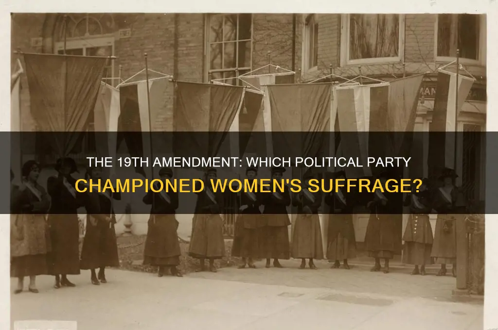 which political party supported the 19th amendment
