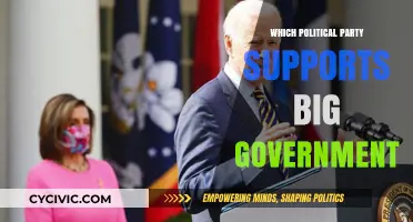 Big Government Backers: Which Political Party Favors Extensive State Control?