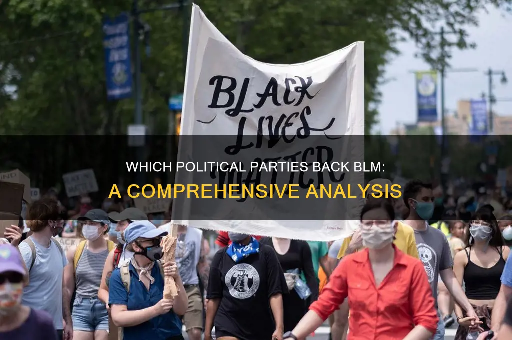 which political party supports blm