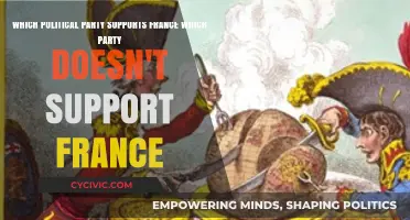 France's Political Allies: Which Parties Support or Oppose Its Policies?