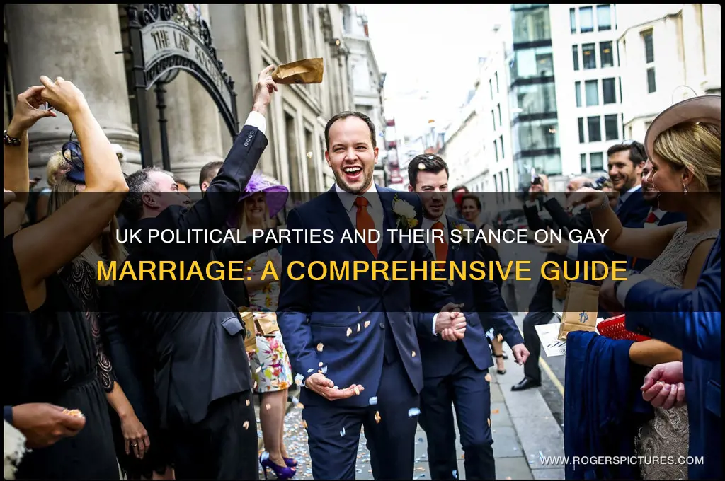 which political party supports gay marriage uk