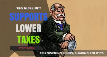 Lower Taxes: Which Political Party Advocates for Tax Reduction?