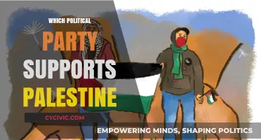 Which Political Parties Globally Advocate for Palestine's Rights and Freedom?