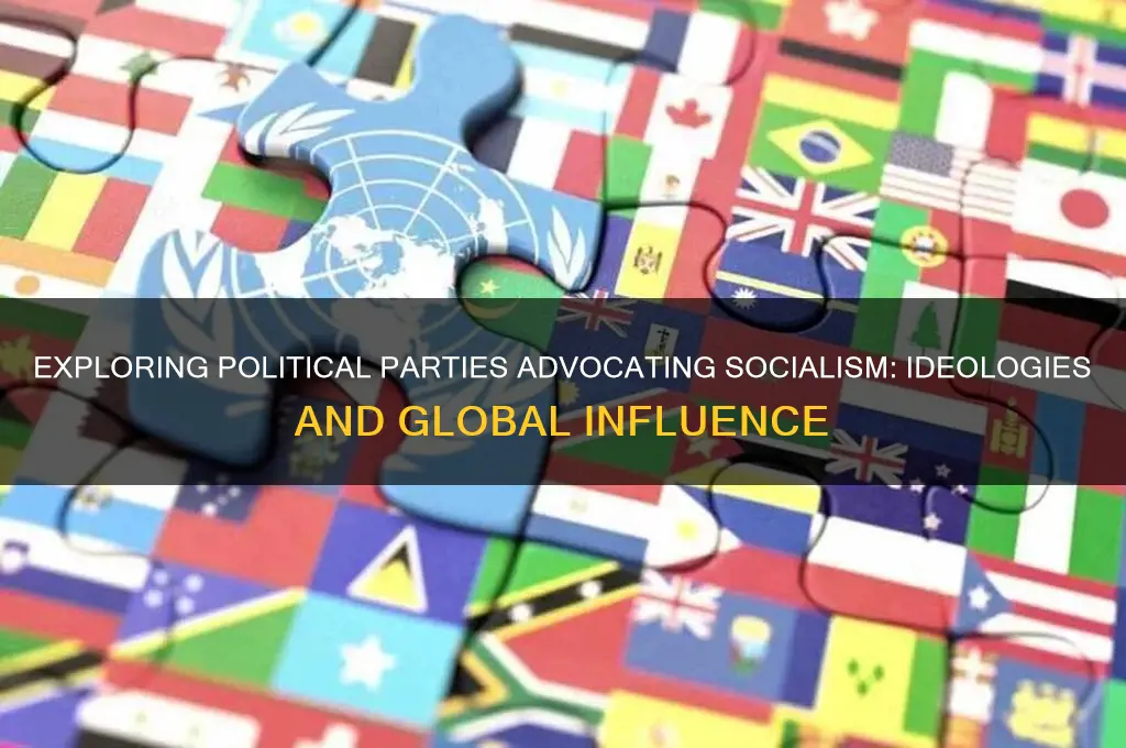 which political party supports socialism