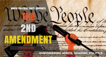 Which Political Party Strongly Upholds the 2nd Amendment Rights?