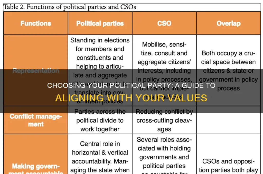 which political party to choose