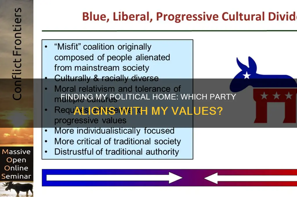 which political party to i side with more