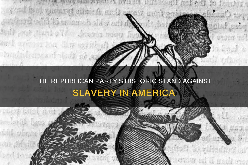 which political party took a firm stand against slavery