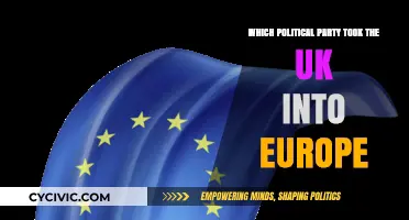 The Conservative Party's Role in the UK's Entry to Europe