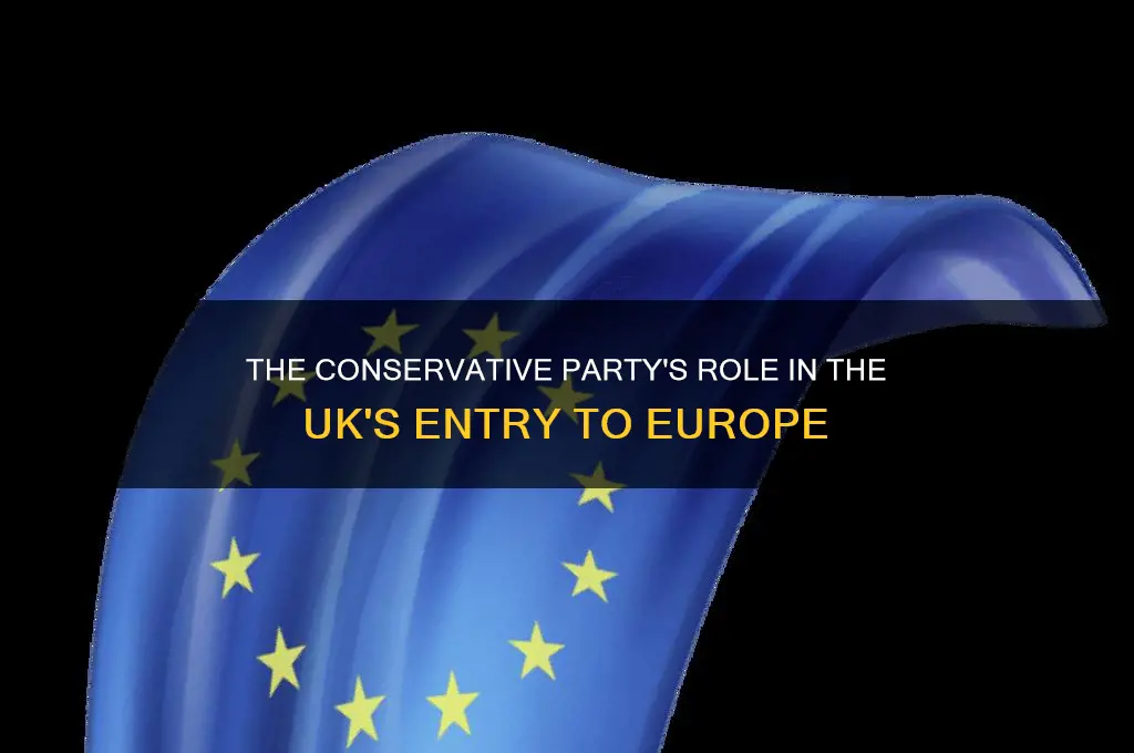 which political party took the uk into europe