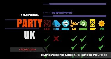 Understanding the UK's Political Parties: A Comprehensive Guide to Their Ideologies