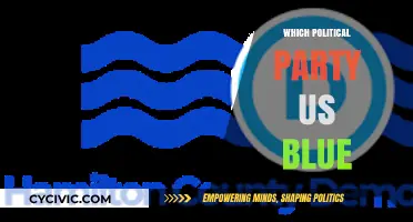 Understanding the Blue Party: The Democratic Party's Identity and Values