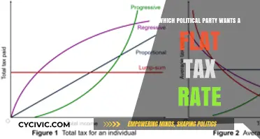 Flat Tax Rate: Which Political Party Advocates for Simplified Taxation?