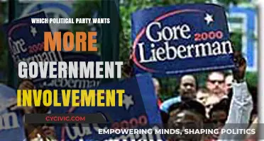 Which Political Party Advocates for Increased Government Involvement?