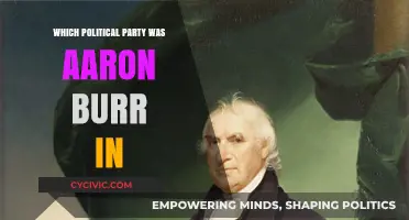 Aaron Burr's Political Party: Unraveling His Democratic-Republican Affiliation