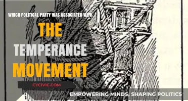 Temperance Movement's Political Allies: Uncovering the Party's Historical Ties