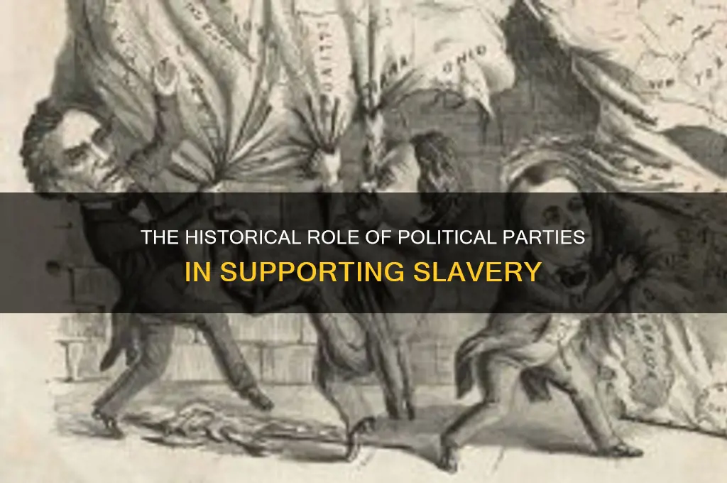 which political party was for slaves