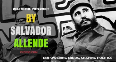 Salvador Allende's Leadership: The Political Party He Guided