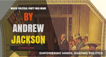 Andrew Jackson's Legacy: The Founding of the Democratic Party