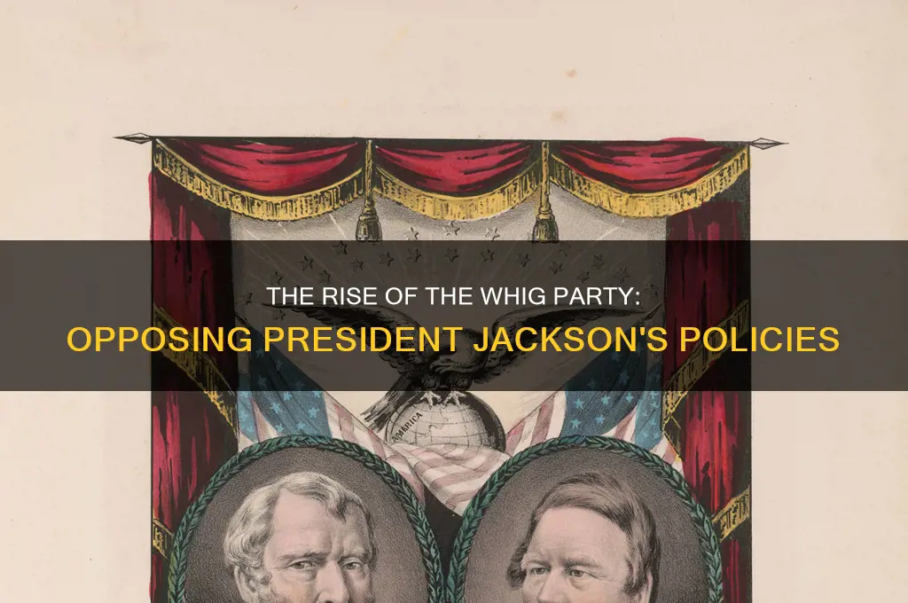 which political party was organized to oppose president jackson