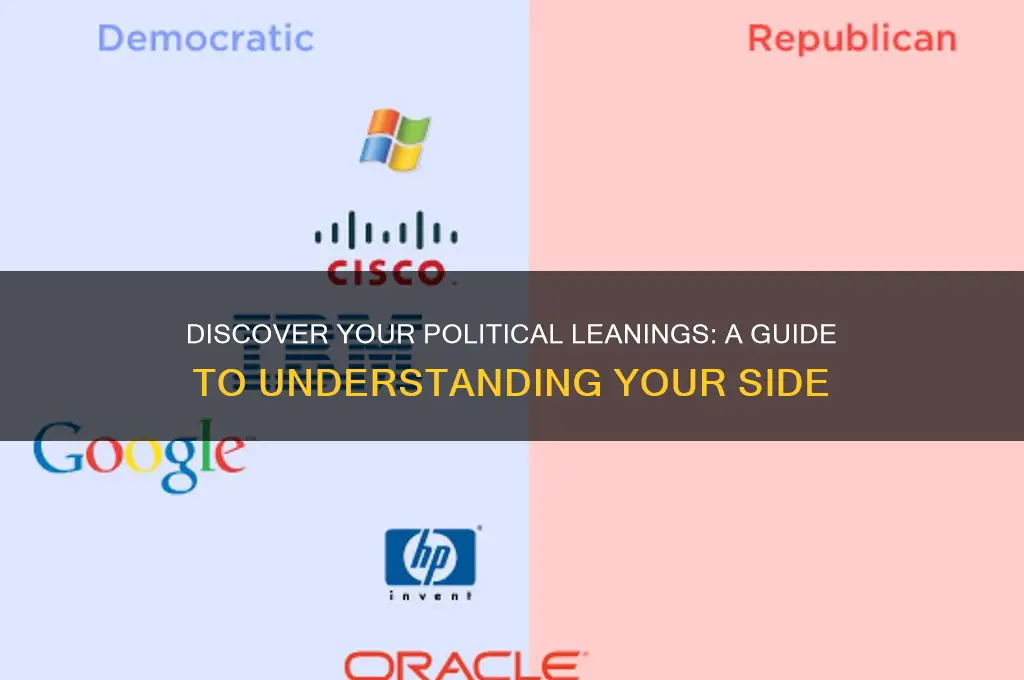 which political side am i