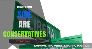 Understanding Conservatives: Their Political Alignment and Core Beliefs Explained