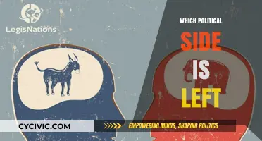 Understanding the Left: Unraveling the Political Spectrum's Progressive Side