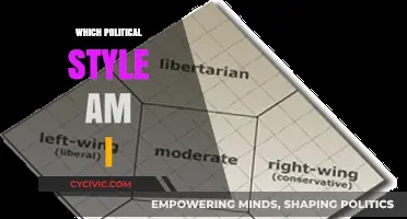 Discover Your Political Style: A Personalized Ideology Quiz Guide