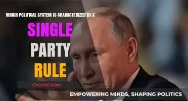 One-Party Dominance: Understanding the Single-Party Political System