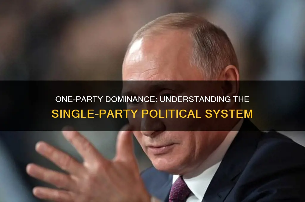 which political system is characterized by a single party rule