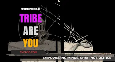 Discover Your Political Tribe: Uncover Your Ideological Identity and Values