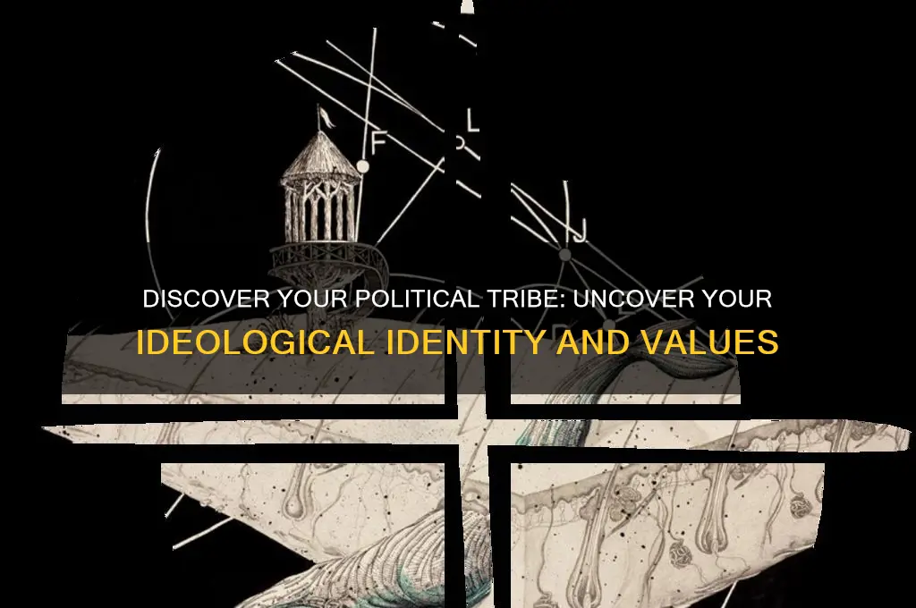 which political tribe are you